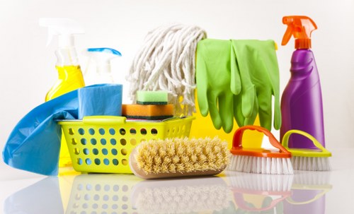 Deep rug cleaning process for local households and businesses