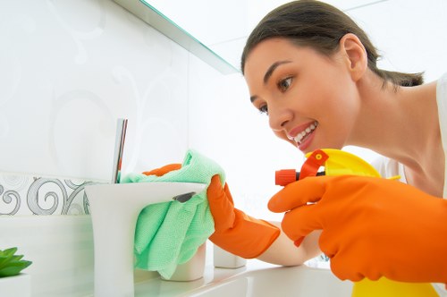 Professional pet stain and odour removal treatment for Brent homes