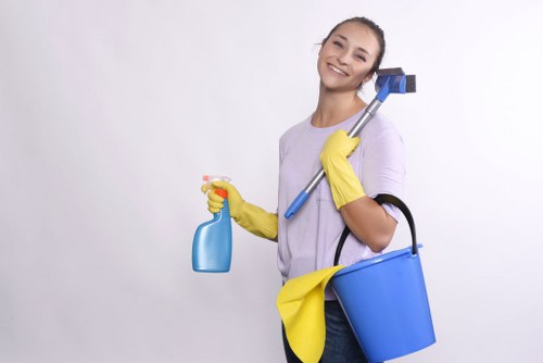Brent stain removal visit showing careful cleaning and assessment