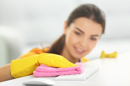 Commercial oven cleaning for a food business in Brent