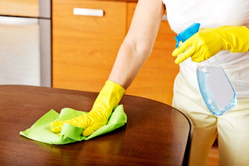 Preparation and cleaning equipment for a deep clean in Brent